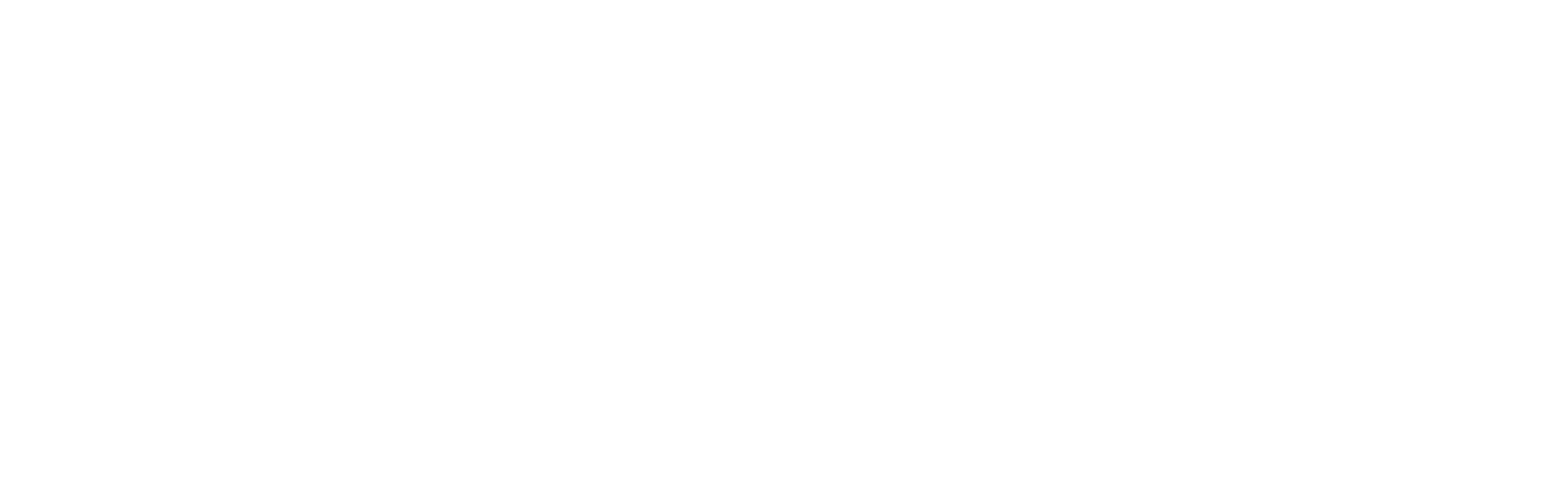 Grupo Resenclean